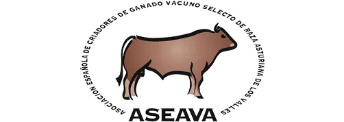 Aseava